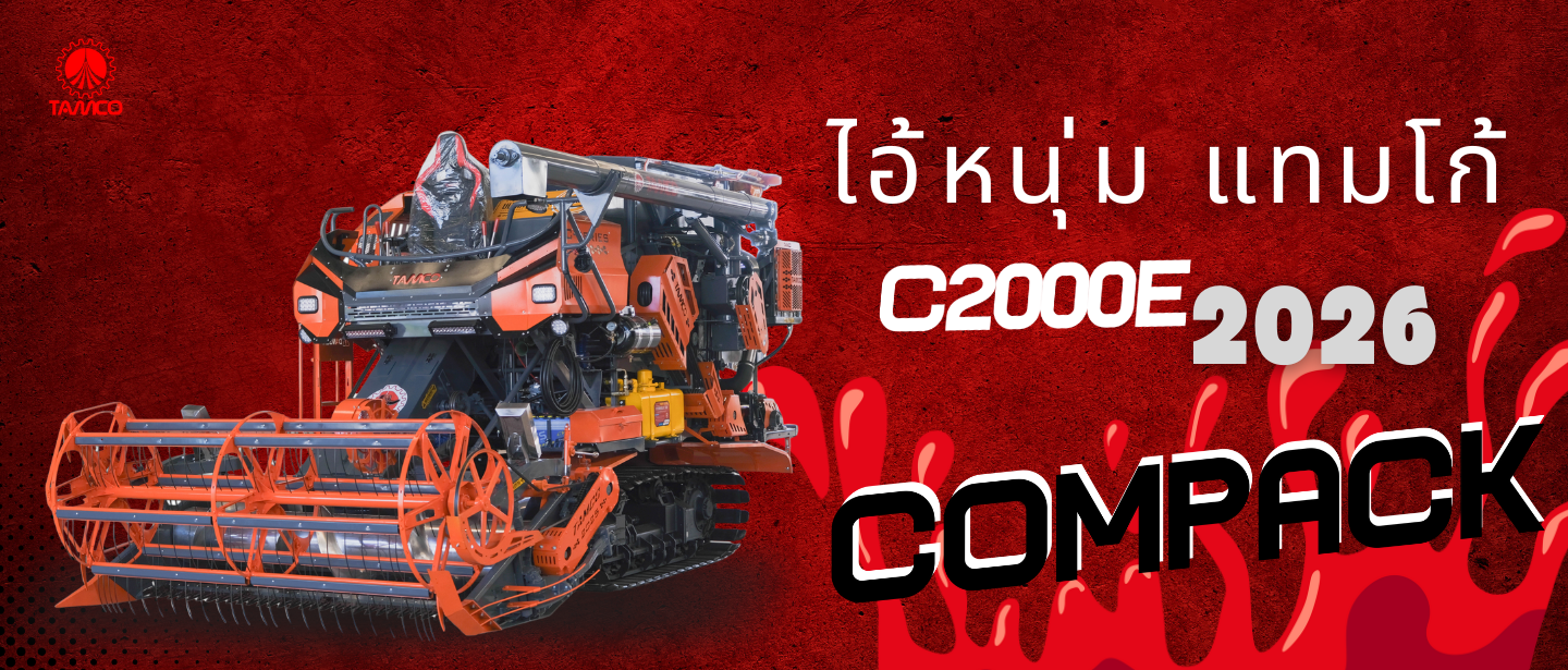 สำเนาของ ข้อความในย่อหน้าของคุณ-11