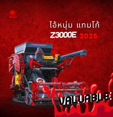 สำเนาของ ข้อความในย่อหน้าของคุณ-13