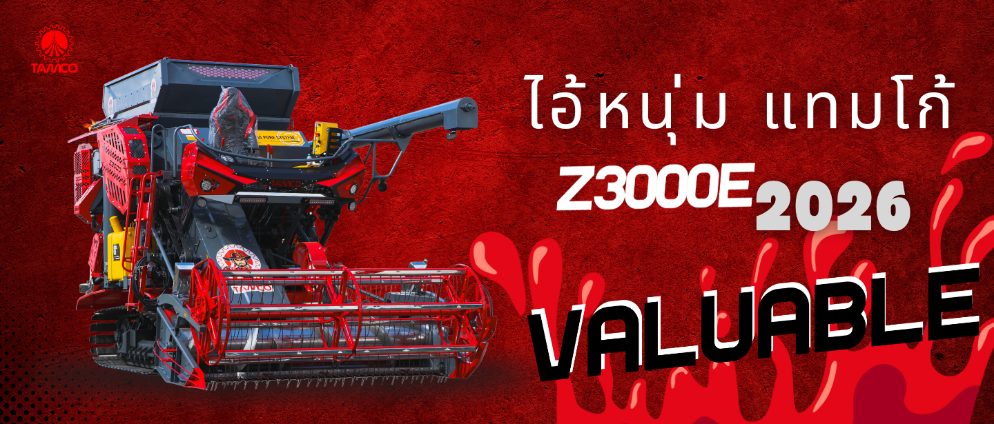 สำเนาของ ข้อความในย่อหน้าของคุณ-4